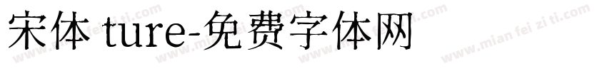 宋体 ture字体转换